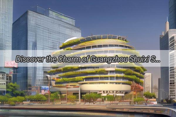 Discover the Charm of Guangzhou Shuixi Spacious Rentals Await Your Arrival